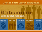 Marijuana Facts Graphic