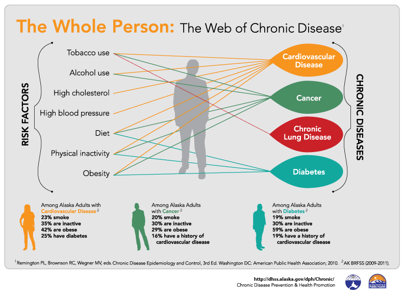 The silhouette of a man is criss-crossed with lines linking the four most prevelant Chronic Diseases in Alaska and the corresponding 7 Risk Factors that cause them and contained in a web of chronic disease.