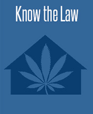 Know the Law - Marijuana link