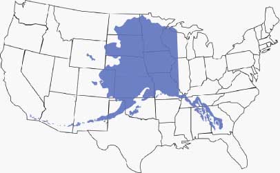 Alaska map superimposed over the continental US