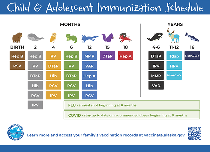 Simplified Child and Adolescent Immunization Schedule (alt text in linked PDF)