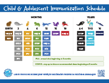 Thumbnail for Simplified Child and Adolescent Immunization Schedule