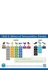 Thumbnail for Child & Adolescent Immunization Schedule magnet or window cling