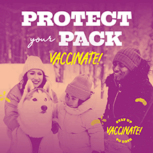 Protect your pack. Stay up to date, vaccinate!