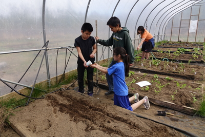 Kenai Peninsula Borough School District, Tyonek — Growing community gardens to support the school food program