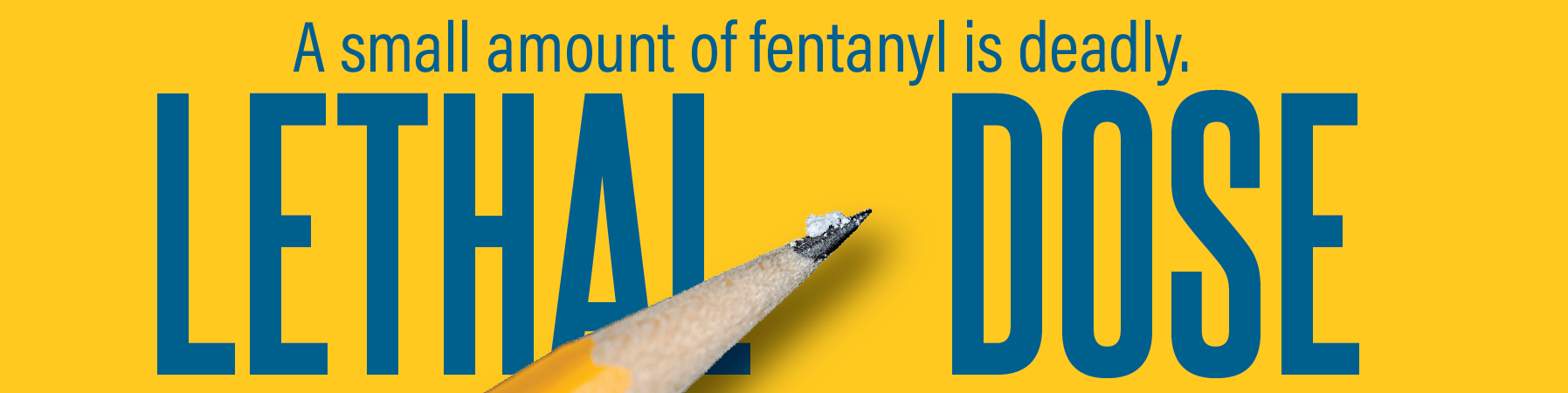 A small amount of fentanyl is deadly: a lethal dose is smaller than a pencil lead.