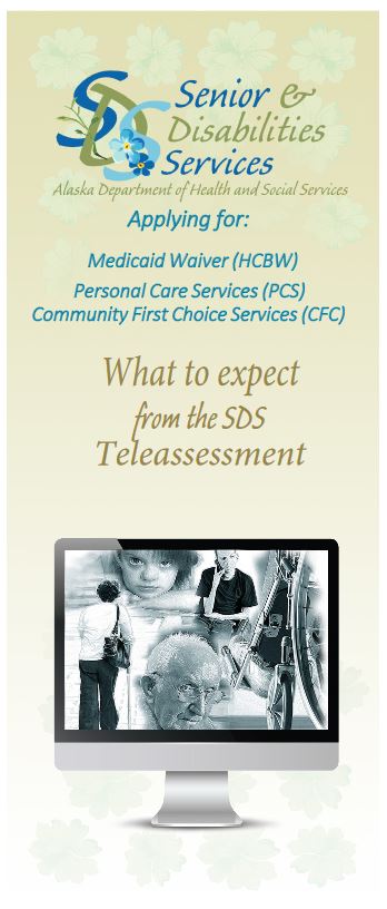 SDS video-assessment brochure link