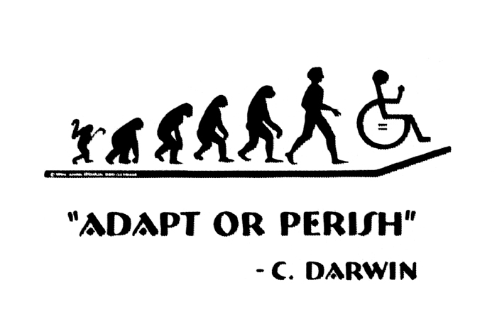 Image with evolution of monky to ape to man to man in wheelchair with words :Adapt or Perish" - C Darwin