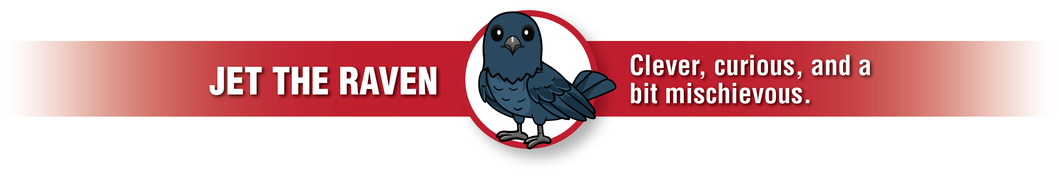 Jet the raven, clever, curious, and a bit mischievous