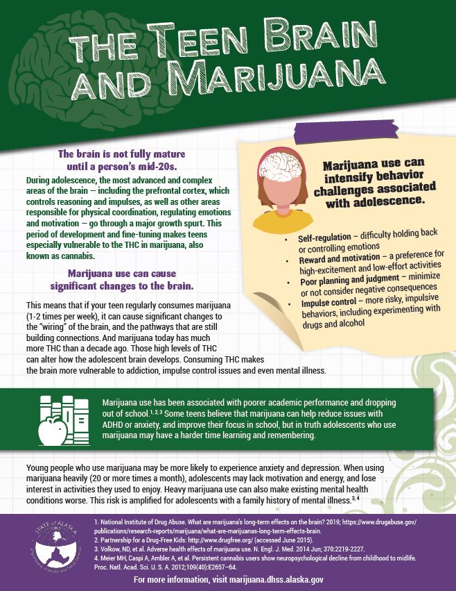 thumbnail of Marijuana and the teen brain handout