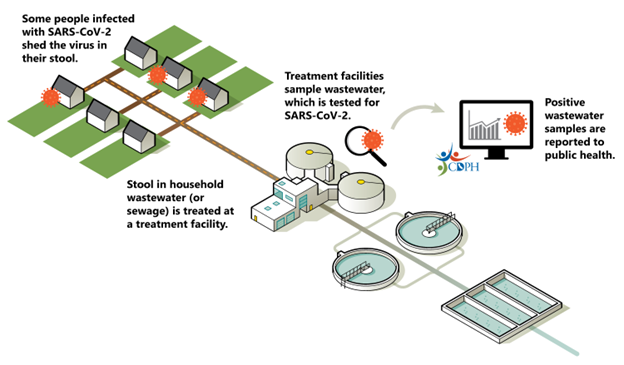 Basic overview of how wastewater surveillance occurs in communities