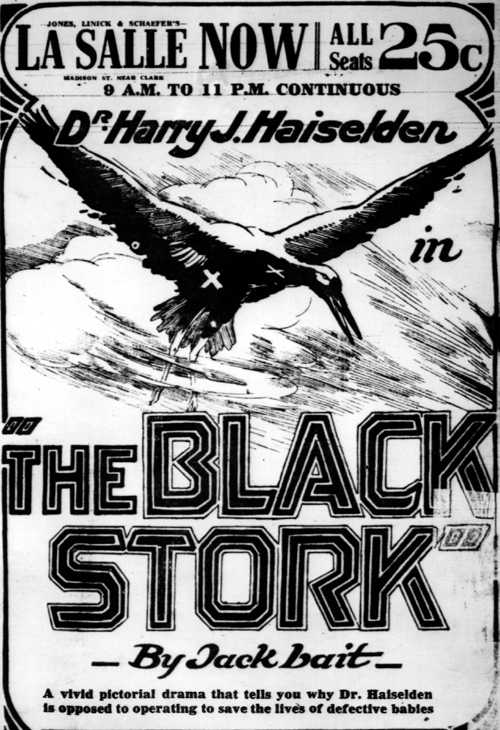 Black Stork Movie Poster